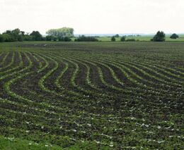 Pozvánka na den otevřených dveří na Ekofarmě Probio