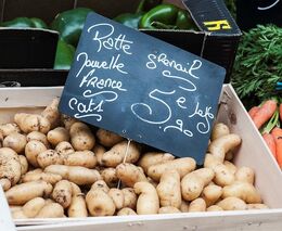 AFP: Farma na předměstí Paříže dává lidem šanci na návrat do života