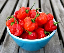 Obtížná situace. Malí pěstitelé se snaží svou produkci udat na internetové mapě