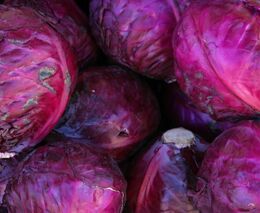 Česká zelenina má svou značku