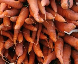 Prodávají českou vakuovanou zeleninu. Do řetězců jít nemůžeme, říká zelinář