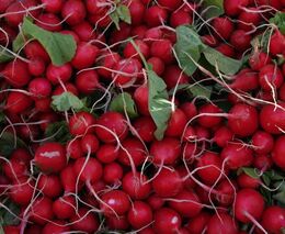 Zelináři: Cenu zeleniny v obchodech zvyšují řetězce i vysoká DPH