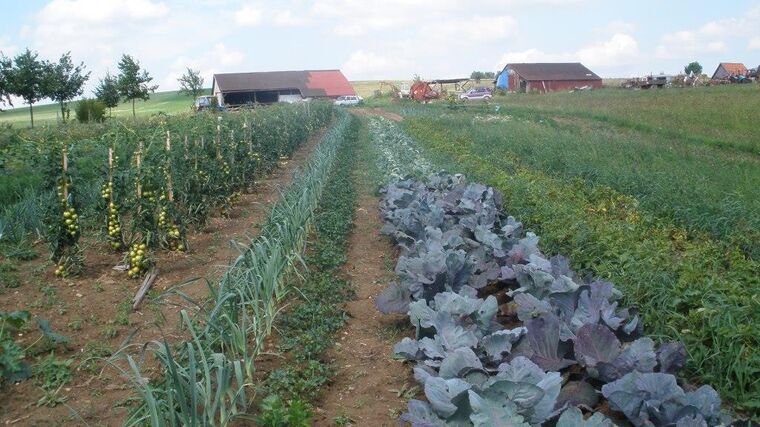 Získat selské know-how a titul. V Česku otevřou první farmářskou školu