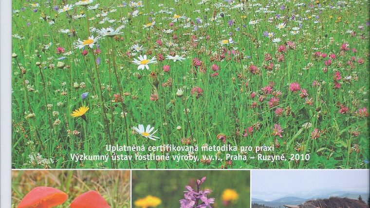 Extenzivní obhospodařování trvalých travních porostů v podhorských oblastech mulčováním