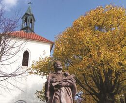 Nepochopitelné: Církev pronajímá půdu nástupcům těch, kteří jí ukradli