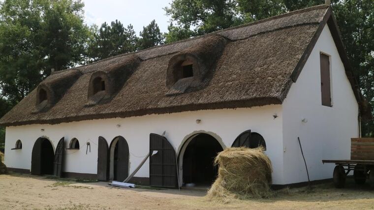 Žít na venkově stojí za to, vzkazují bloggeři a influenceři přes fotky z polí a stodol