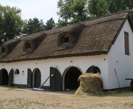 Žít na venkově stojí za to, vzkazují bloggeři a influenceři přes fotky z polí a stodol