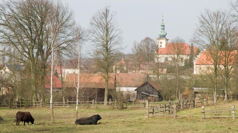 Metodika pro výběr vhodných druhů dřevin a bylin pro venkovská sídla