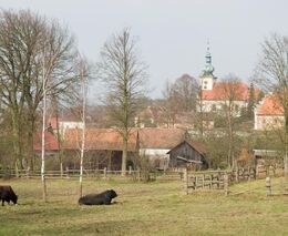 ASZ ČR odmítá návrhy změn v nařízení vlády k přímým platbám