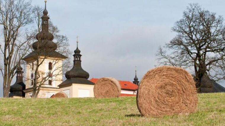 Pavera (TOP 09): Chceme zákon o rodinných farmách a konec vylidňování venkova