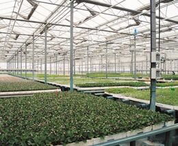 Bílovečtí gymnazisté se budou učit ekologii na vlastní farmě