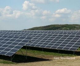 Ve Francii masivně zastínili půdu solárními panely. Agrovoltaika v praxi přináší obrovské benefity