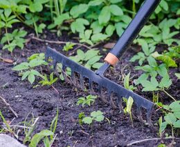 Farmářská škola chce učit novou generaci zemědělců praxí