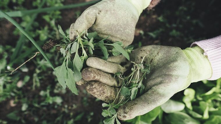 Do pětice nejlepších evropských staveb se dostala francouzská Železniční farma sloužící jako skleník