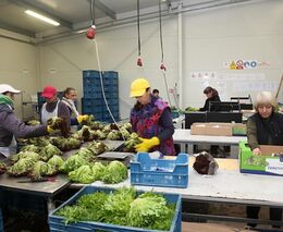 Nekula: V zemědělských oborech je možné zaměstnat 40.000 až 50.000 lidí