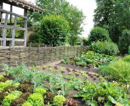V Česku vzniká nová farmářská škola. Nabídne hlavně praxi v ekologickém zemědělství