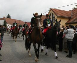 Oslava dne koní ve Štěkni