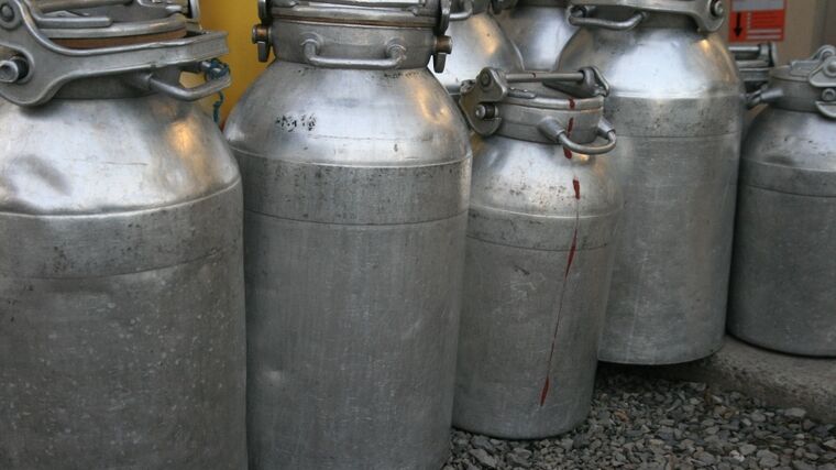 Taková bipolární chůva. Co nás Žufánkova dezinfekce naučila o roli státu (v krizi)