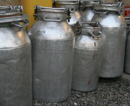 Taková bipolární chůva. Co nás Žufánkova dezinfekce naučila o roli státu (v krizi)