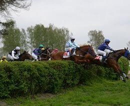 Dostihy jako další aktivita členů ASZ  