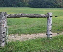 Belgický farmář omylem posunul hranici země s Francií. Stála v cestě jeho traktoru