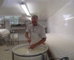 Záchrana podnikání u nás a v zahraničí? Nebe a dudy