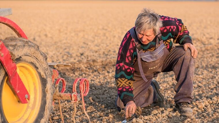 Komise vyzvala členské státy, aby otevřely hranice sezónním pracovníkům