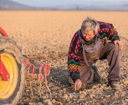 Komise vyzvala členské státy, aby otevřely hranice sezónním pracovníkům