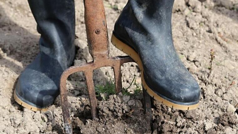 SZIF rozdělí mezi mladé zemědělce dotace ve výši téměř 214 milionů korun