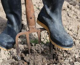 SZIF rozdělí mezi mladé zemědělce dotace ve výši téměř 214 milionů korun