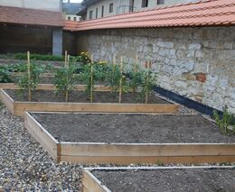 Zdražování potravin zvyšuje zájem o zahradničení. Vyplatí se ekonomicky?