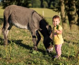 Turistika a služby ve 2. čtvrtletí ožily, pomohlo to pracovnímu trhu