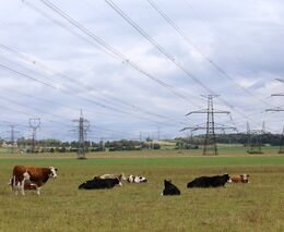 Ještě zelenější Green Deal. Brusel navrhuje, jak se odříznout od ruského plynu, ropy a uhlí