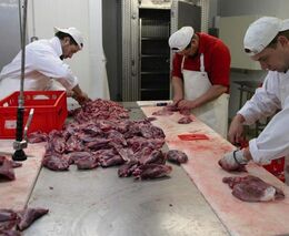 Rok domácích porážek skotu a jelenovitých