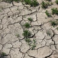 Dopady sucha v ČR a ve střední Evropě v letech 2000-2025