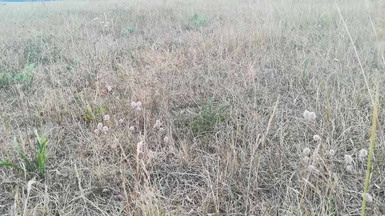 Týden podle PH č. 30 – 2019 (pH týdne 3)
