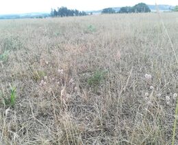 Týden podle PH č. 30 – 2019 (pH týdne 3)