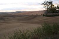 Chránit přírodu, to znamená v ní dobře hospodařit