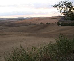 Týden podle PH č. 52 - 2018 (pH týdne: 7)