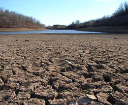 Týden podle PH č. 29 - 2017 (pH týdne: 3)