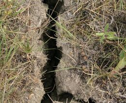 Sucho… a co s tím? Jak to vidí sedláci