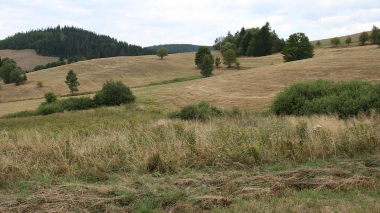 Údaje o suchu se na webu Intersucha nově aktualizují denně, ne jen jednou týdně
