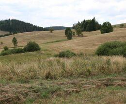 S nedostatkem vody se potýkají farmáři i rekreační oblasti. Někde obnovují déle nepoužívané zdroje