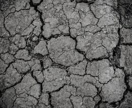 Sucho přichází nepravidelně, jedno z nejhorších bylo v roce 1947