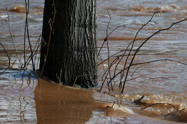 Rusko způsobuje na Ukrajině extrémní klimatické škody, říká zpráva