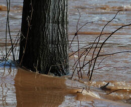 Rusko způsobuje na Ukrajině extrémní klimatické škody, říká zpráva