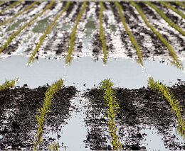 Praktický manuál pro obce: Jak reagovat na přívalové deště, erozi a splachy ornice