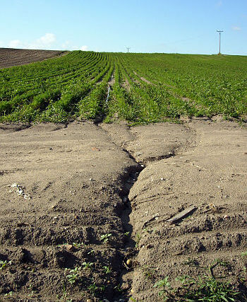 Biostimulátory proti degradaci půd