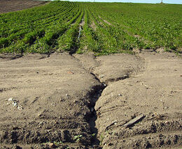 Biostimulátory proti degradaci půd