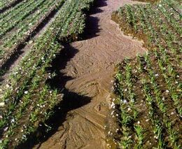 Odpovědní sedláci podporují boj proti erozi